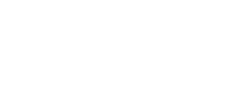 Lavender Farm